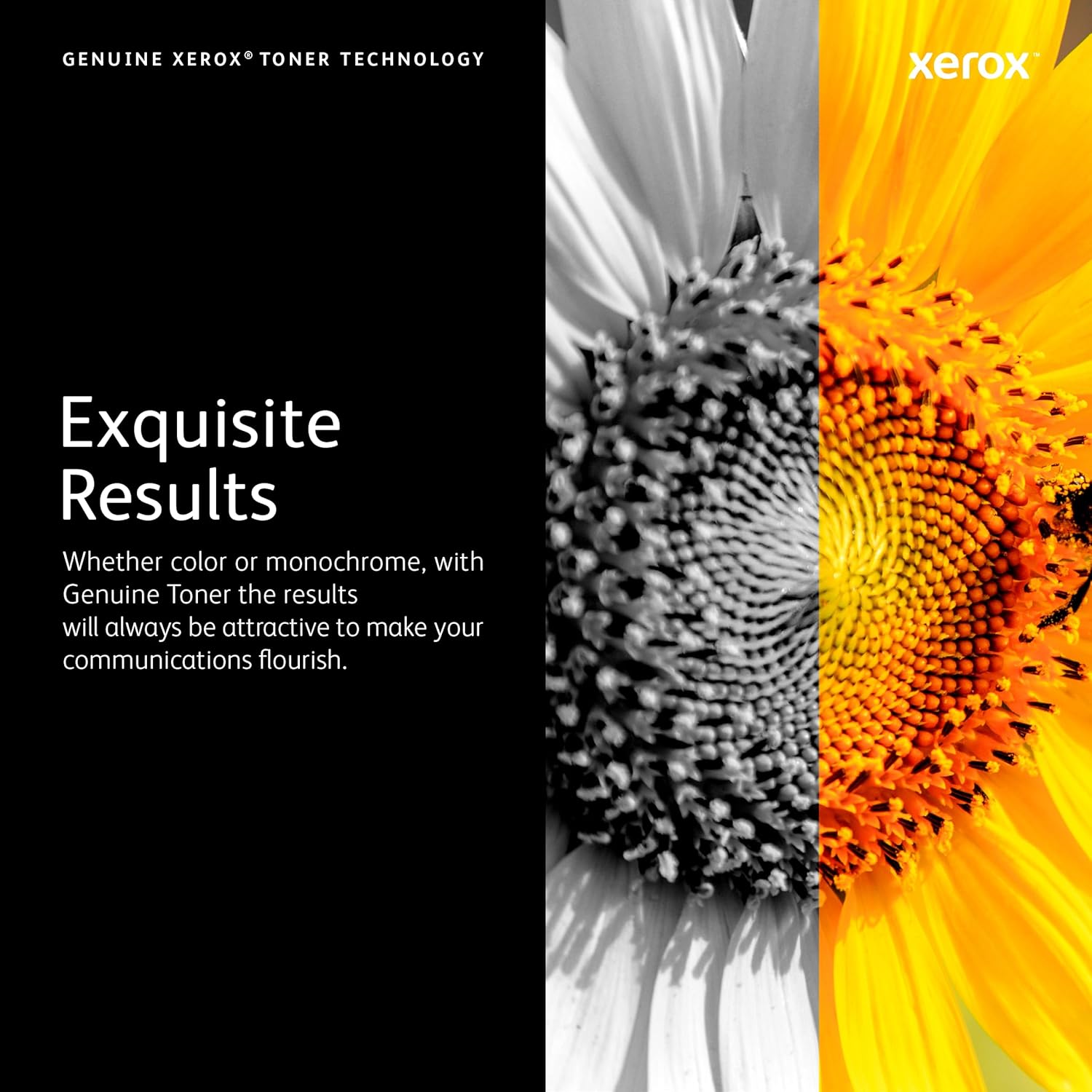 Genuine Fuji Xerox 108R00982R Waste Toner Cartridge for PHASER 7800DN (20K)