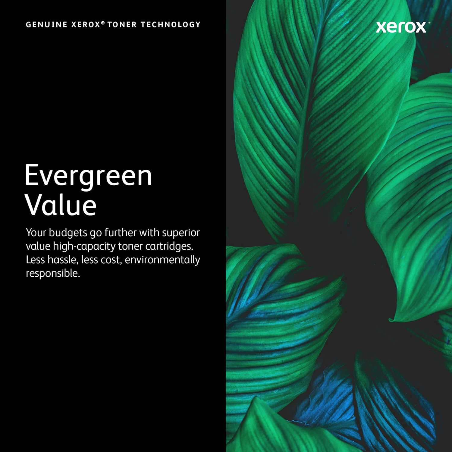 Genuine Fuji Xerox 108R00982R Waste Toner Cartridge for PHASER 7800DN (20K)