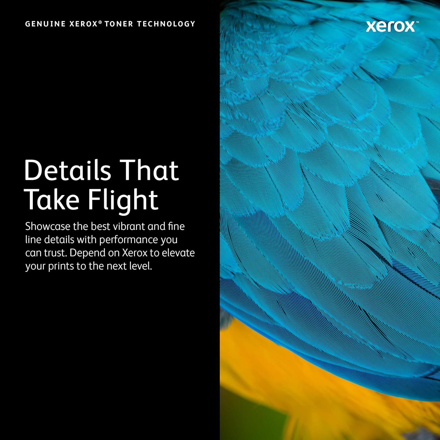 Genuine Fuji Xerox 108R00982R Waste Toner Cartridge for PHASER 7800DN (20K)