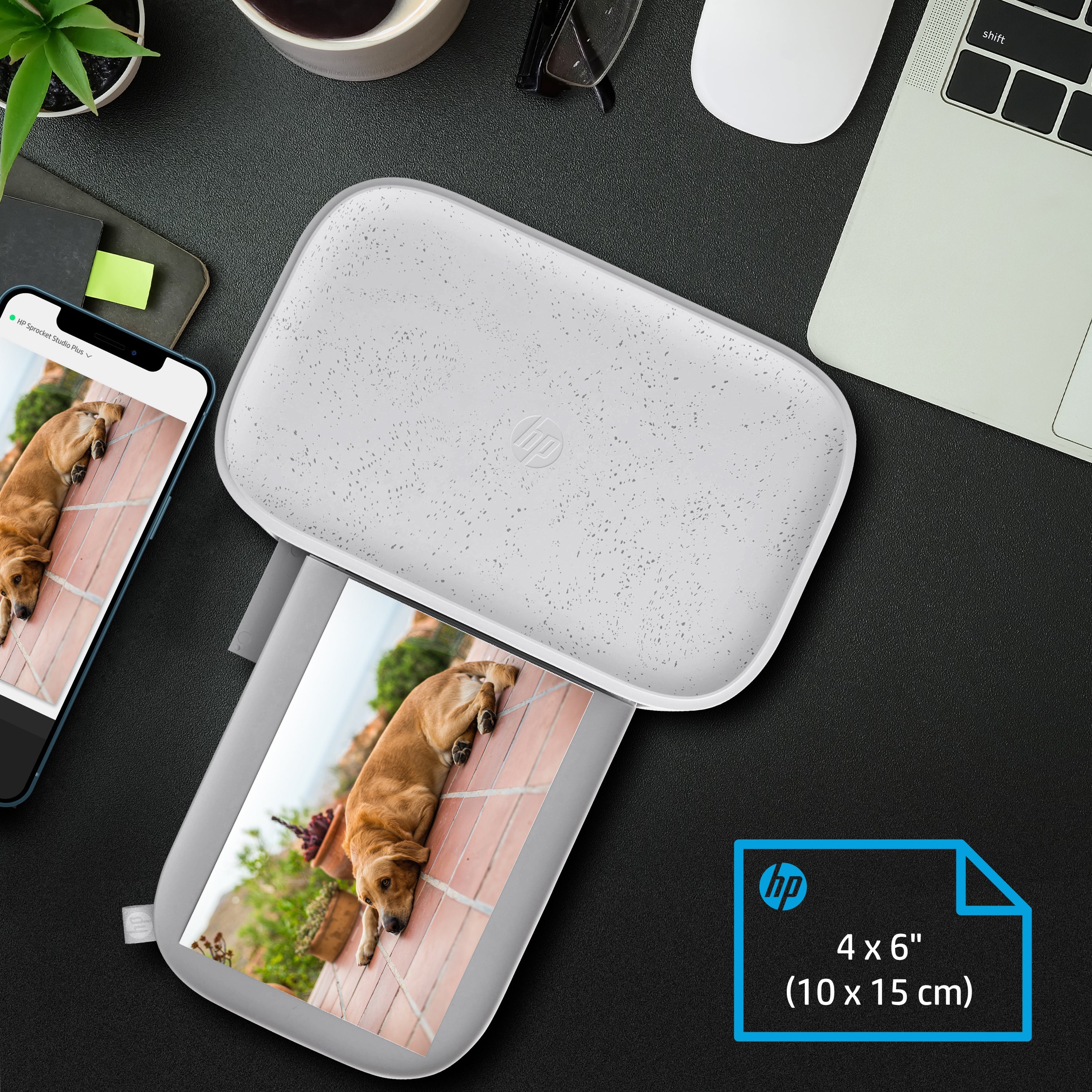 *NEW!* HP Sprocket Studio Plus Photo Printer - Prints 4x6 inch Photos from Your iOS & Android Device