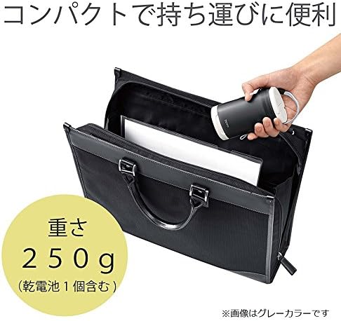 TOTO Compact Portable Bidet Handy Mobile Toilet Shower Washlet YEW4W3 Gray Made in Japan