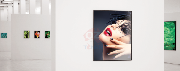 HP Premium Matte Photo Paper - 610 mm x 30.5 m