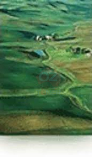 Genuine Epson S041338 Premium Semigloss A3 + Photo Paper Roll Media 329X10M 251Gsm [C13S041338]