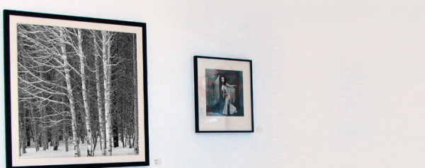 HP Premium Instant-dry Gloss Photo Paper - 1067 mm x 30.5 m